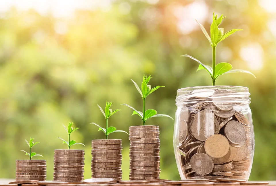 Household savings plummet in Portugal since 1970 - Essential Business
