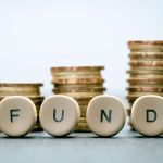 Funds favour domestic equities