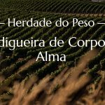 Sogrape invests millions at Alentejo estate