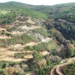 AMG to invest €10 million on lithium mining in Portugal