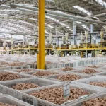 Corticeira Amorim closes Silves factory